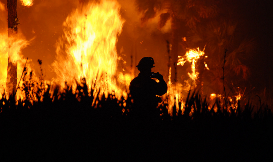 wildfire smoke odor